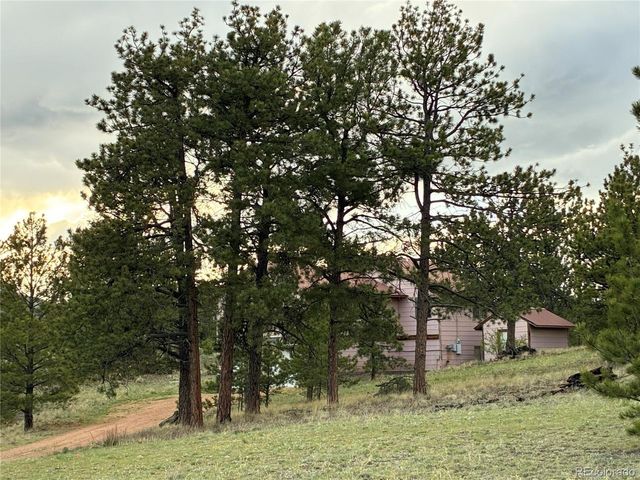6951 County Rd 71, Guffey, CO 80820