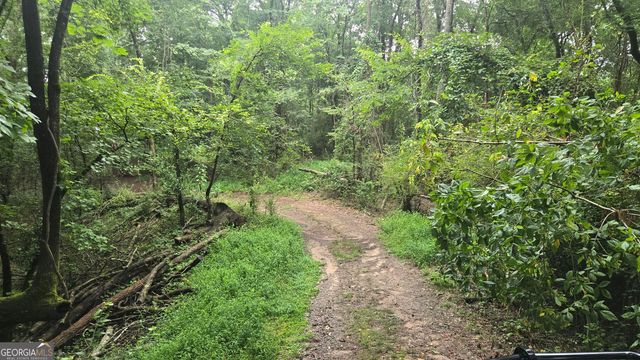 3065 Smokey Road, Athens, GA 30601