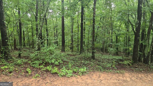 3065 Smokey Road, Athens, GA 30601