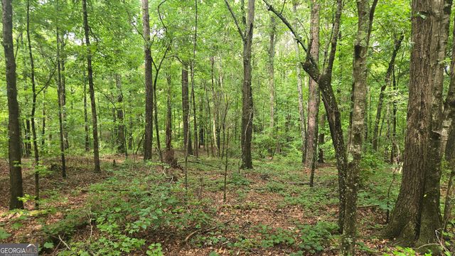 3065 Smokey Road, Athens, GA 30601