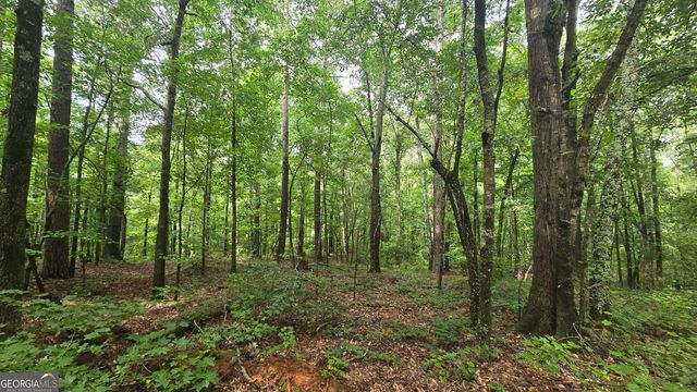 3065 Smokey Road, Athens, GA 30601