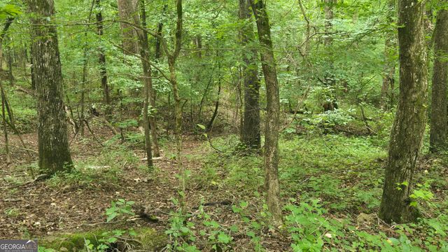 3065 Smokey Road, Athens, GA 30601