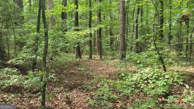 3065 Smokey Road, Athens, GA 30601