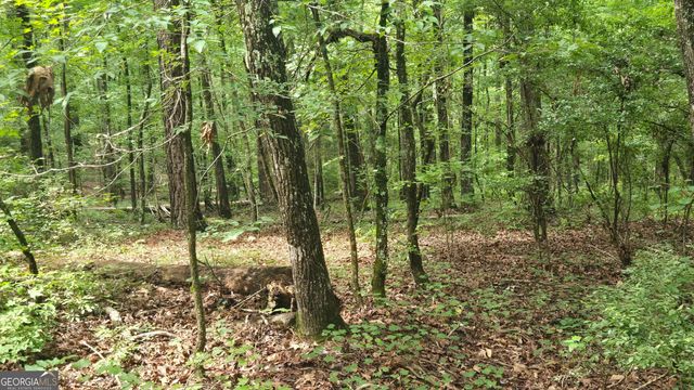 3065 Smokey Road, Athens, GA 30601
