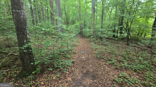 3065 Smokey Road, Athens, GA 30601