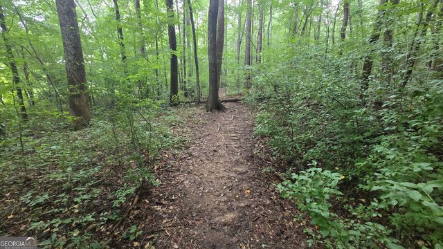 3065 Smokey Road, Athens, GA 30601