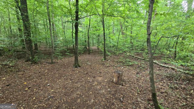 3065 Smokey Road, Athens, GA 30601