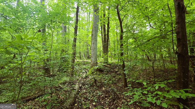 3065 Smokey Road, Athens, GA 30601