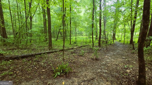 3065 Smokey Road, Athens, GA 30601