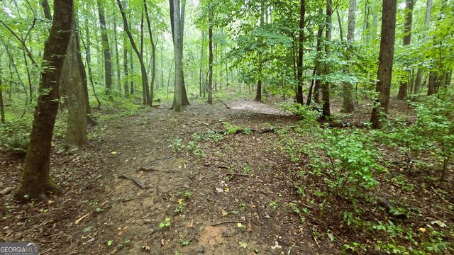 3065 Smokey Road, Athens, GA 30601