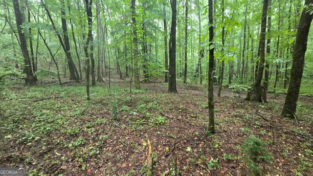 3065 Smokey Road, Athens, GA 30601
