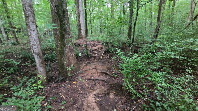 3065 Smokey Road, Athens, GA 30601