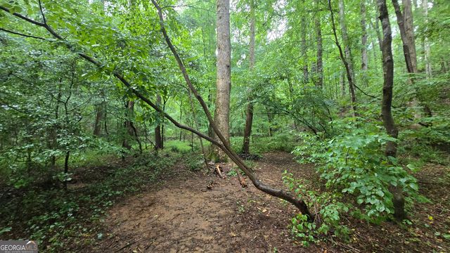 3065 Smokey Road, Athens, GA 30601