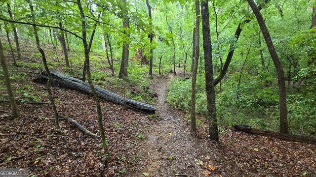 3065 Smokey Road, Athens, GA 30601