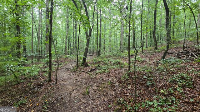 3065 Smokey Road, Athens, GA 30601