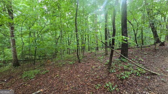 3065 Smokey Road, Athens, GA 30601