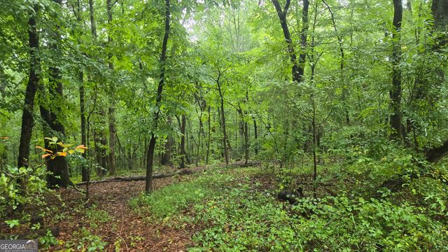 3065 Smokey Road, Athens, GA 30601