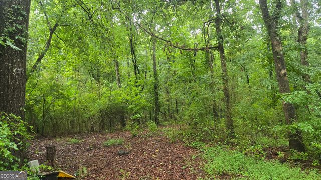 3065 Smokey Road, Athens, GA 30601