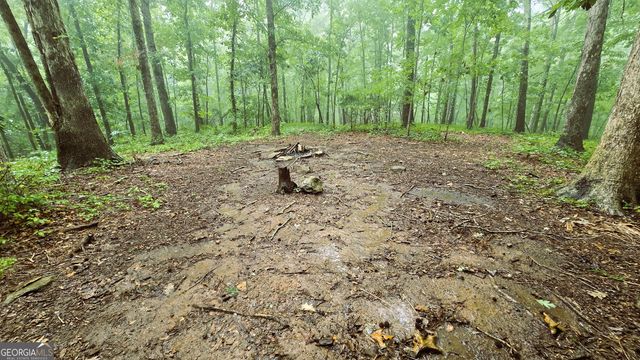 3065 Smokey Road, Athens, GA 30601