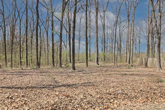 1100 Blue Acres, White Hall, AR 71602