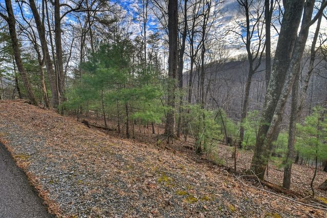 LT M57 Walnut Mountain Court, Ellijay, GA 30536