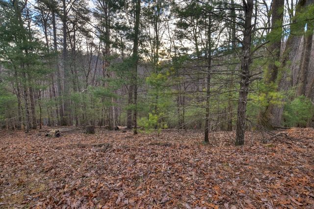 LT M57 Walnut Mountain Court, Ellijay, GA 30536