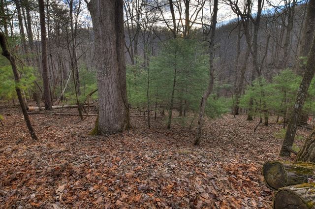 LT M57 Walnut Mountain Court, Ellijay, GA 30536