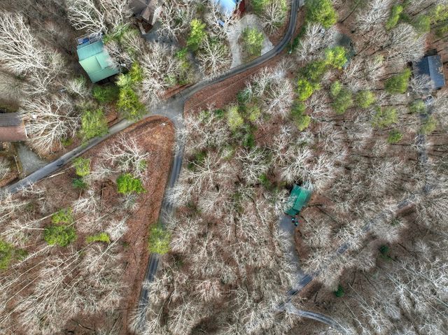 LT M57 Walnut Mountain Court, Ellijay, GA 30536