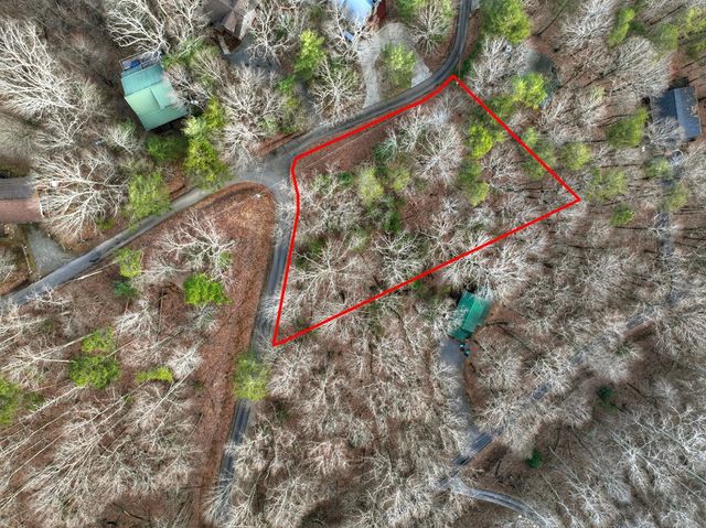 LT M57 Walnut Mountain Court, Ellijay, GA 30536