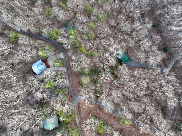 LT M57 Walnut Mountain Court, Ellijay, GA 30536