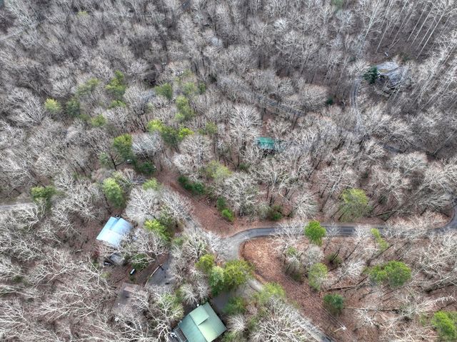 LT M57 Walnut Mountain Court, Ellijay, GA 30536