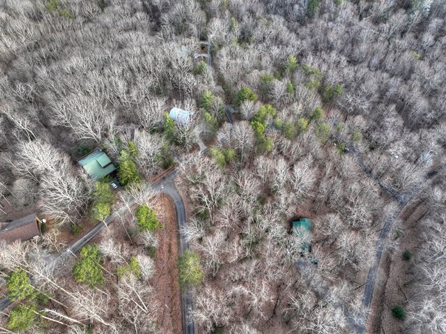 LT M57 Walnut Mountain Court, Ellijay, GA 30536