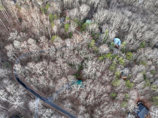 LT M57 Walnut Mountain Court, Ellijay, GA 30536