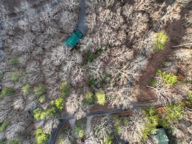 LT M57 Walnut Mountain Court, Ellijay, GA 30536