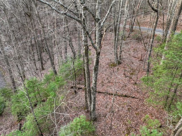 LT M57 Walnut Mountain Court, Ellijay, GA 30536