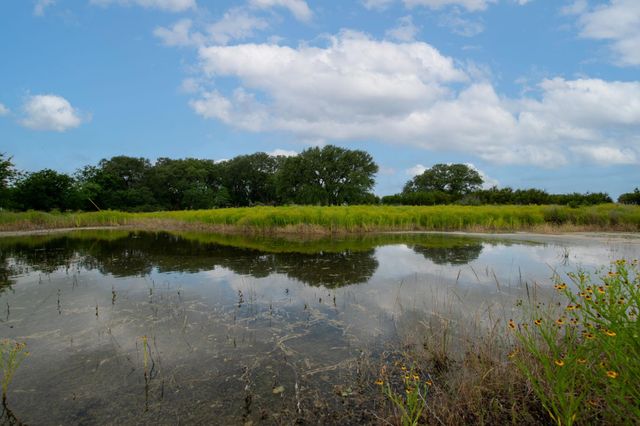 450 CR 204, Burnet, TX 78611