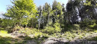 301 NE WJ Way, Belfair, WA 98528