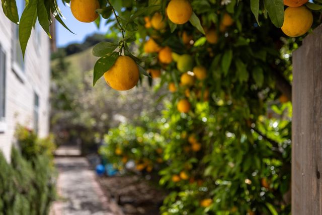 17554 Sugarmill Road, Salinas, CA 93908