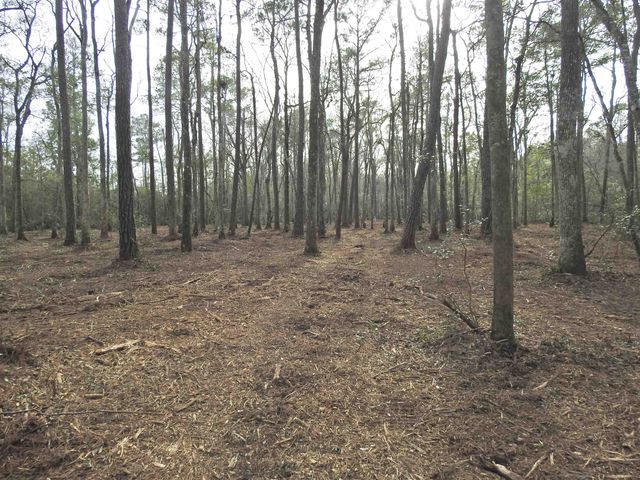 TBD Bella Rd., Myrtle Beach, SC 29588