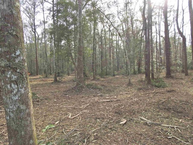 TBD Bella Rd., Myrtle Beach, SC 29588