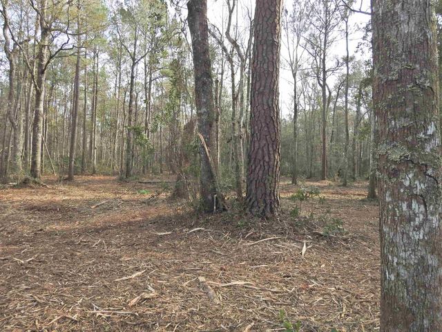 TBD Bella Rd., Myrtle Beach, SC 29588