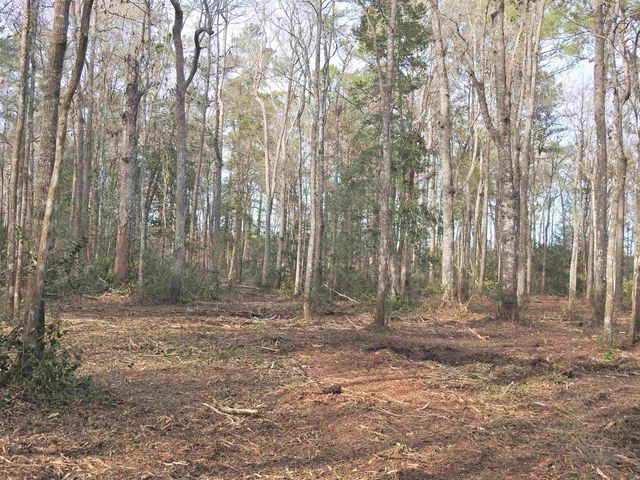 TBD Bella Rd., Myrtle Beach, SC 29588