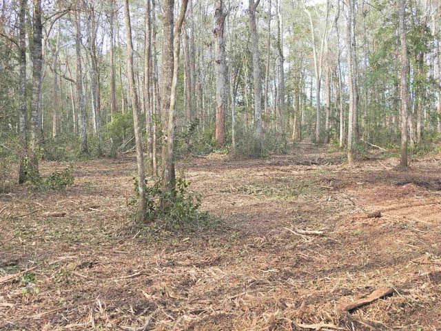 TBD Bella Rd., Myrtle Beach, SC 29588