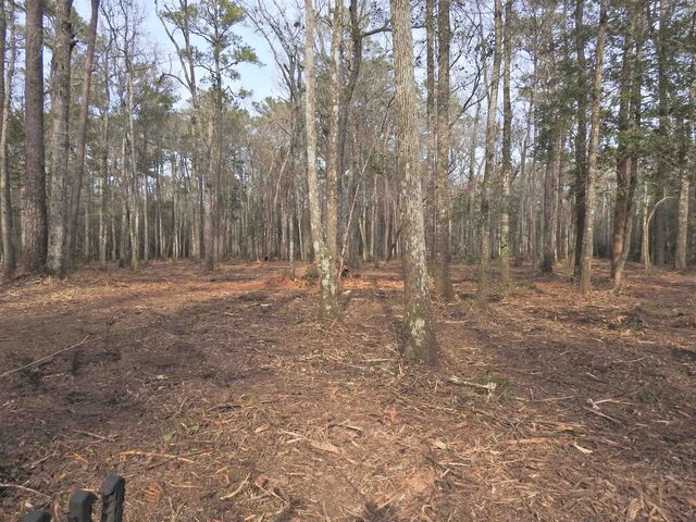 TBD Bella Rd., Myrtle Beach, SC 29588