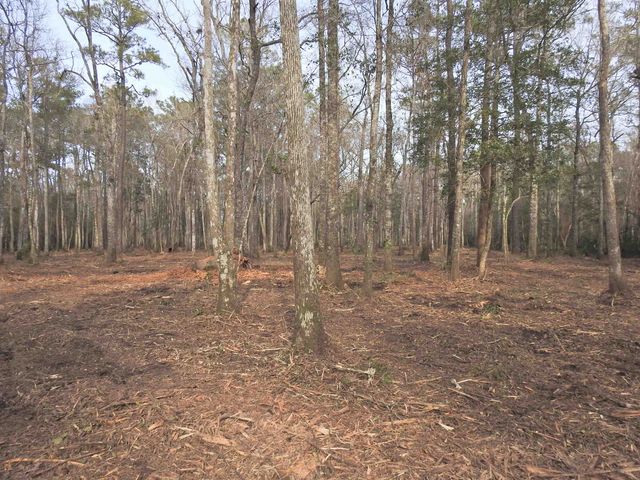 TBD Bella Rd., Myrtle Beach, SC 29588