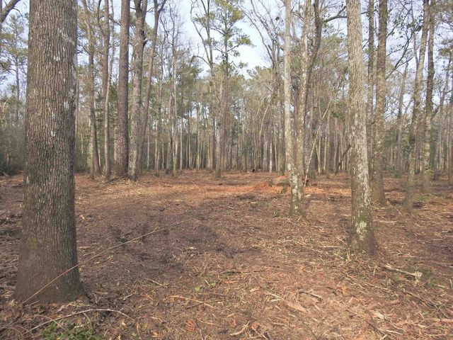 TBD Bella Rd., Myrtle Beach, SC 29588