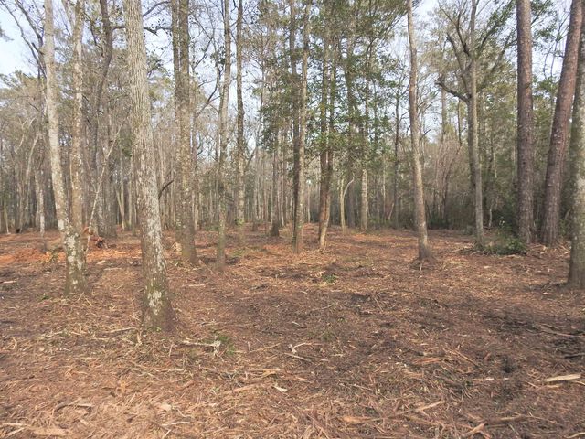 TBD Bella Rd., Myrtle Beach, SC 29588