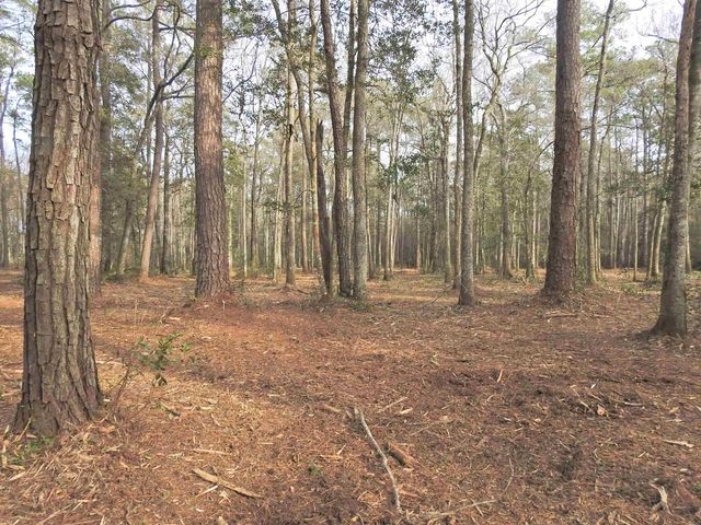 TBD Bella Rd., Myrtle Beach, SC 29588