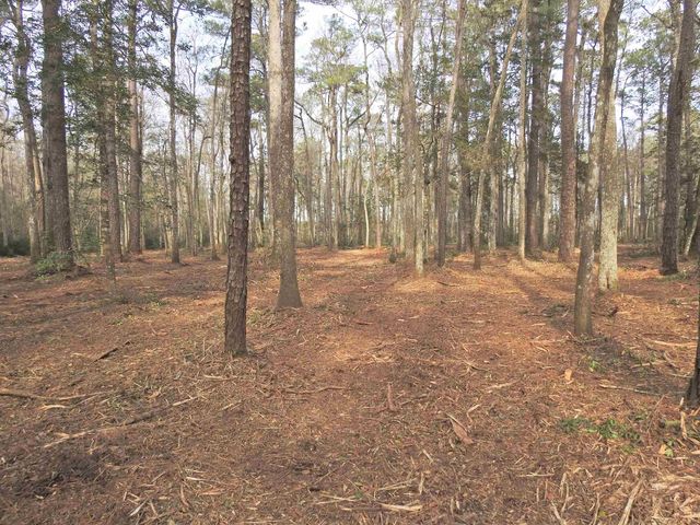 TBD Bella Rd., Myrtle Beach, SC 29588