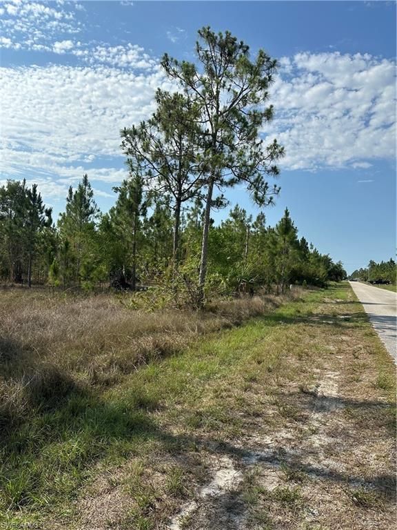 1014 Jackson AVE, LEHIGH ACRES, FL 33972 — exterior